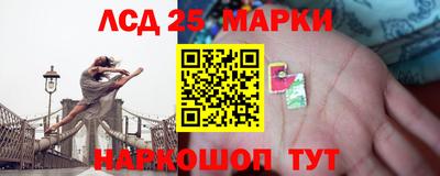 гашик Гатчина