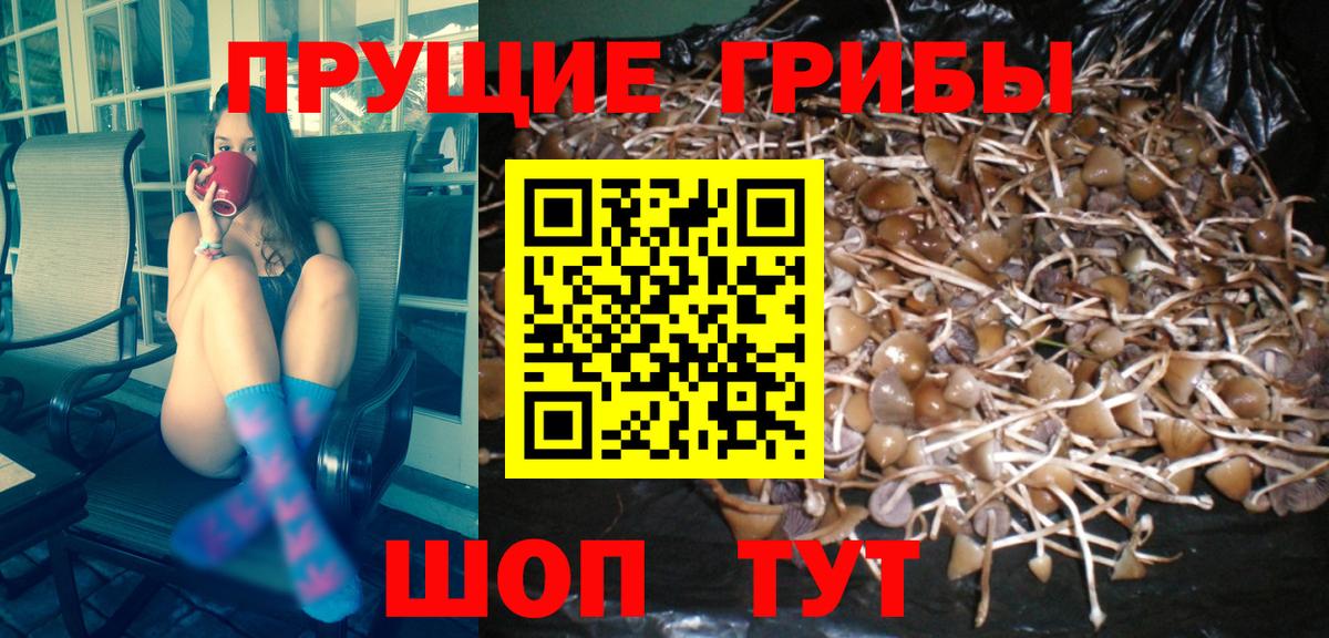 Псилоцибиновые грибы мицелий Нарткала