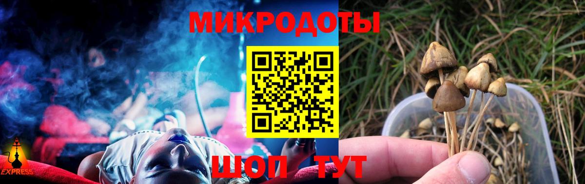 Нарткала  Галлюциногенные грибы GOLDEN TEACHER  Вход с VPN  Псилоцибиновые грибы Psilocybine cubensis 